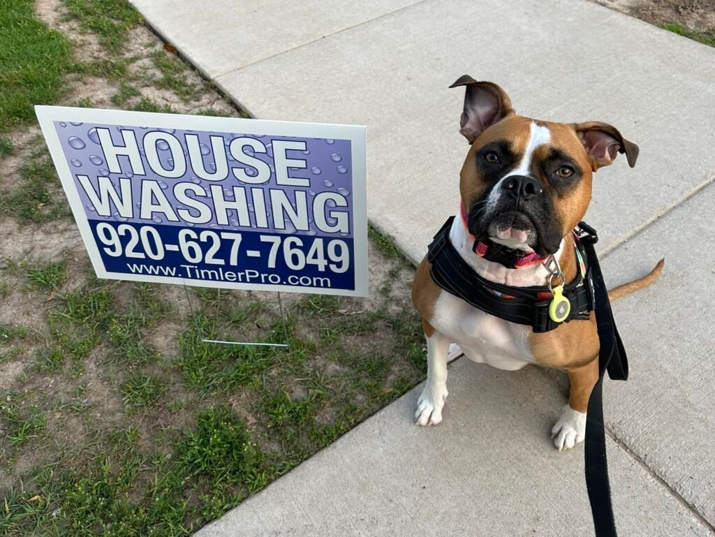 House washing yard sign and friendly dog in Appleton, Wisconsin