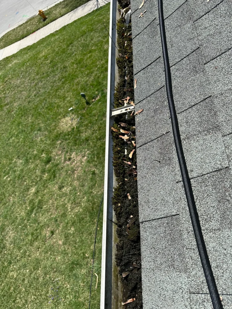 gutter cleaning appleton WI 1